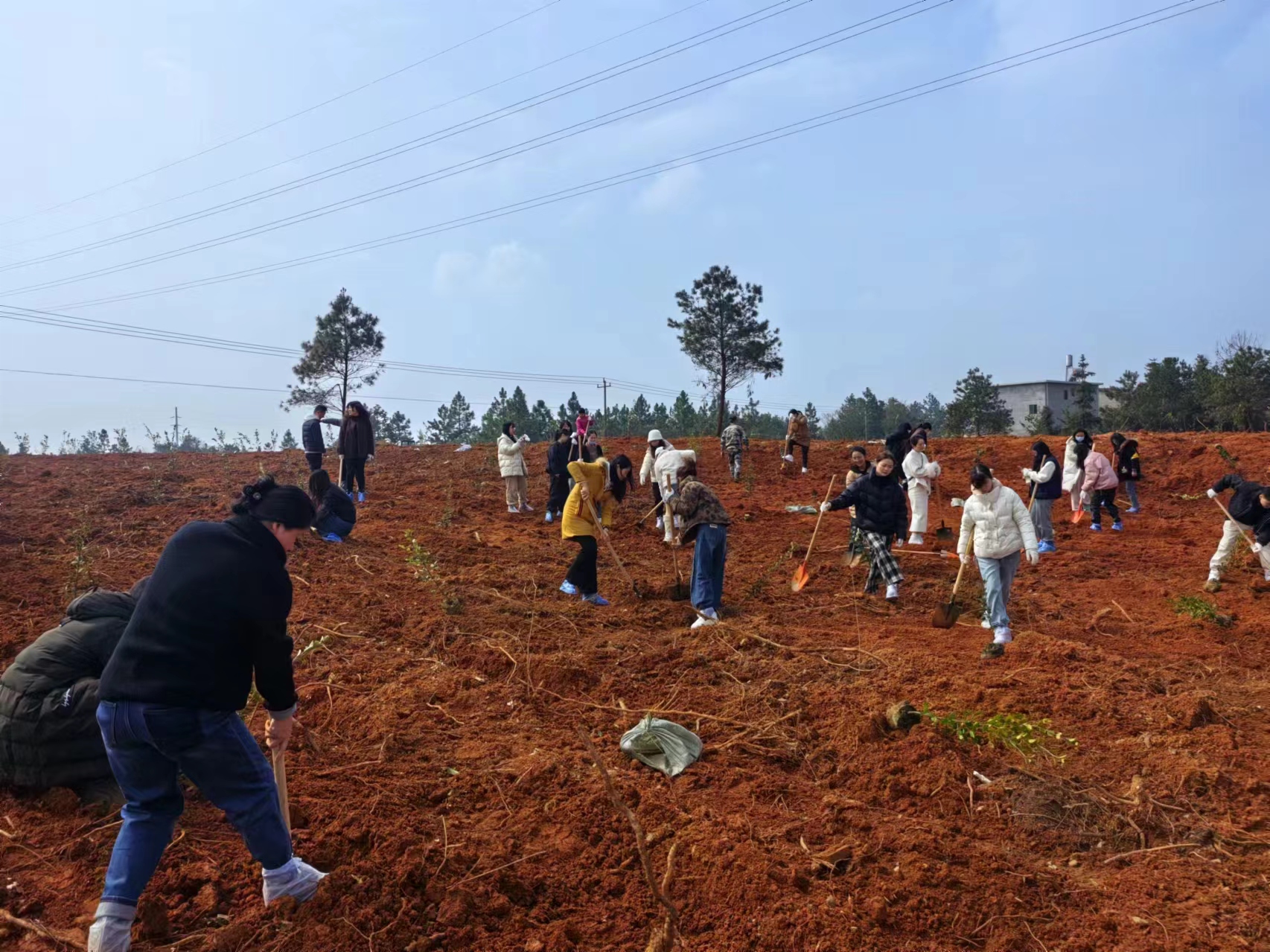 1709880734124533.jpg 1d2556629220a82927bfce730e58113.jpg